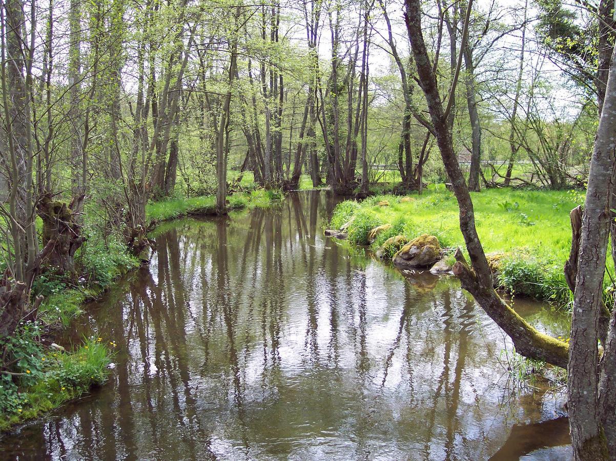 La Vieille Auberge Du Lac Saint-Agnan  Bagian luar foto