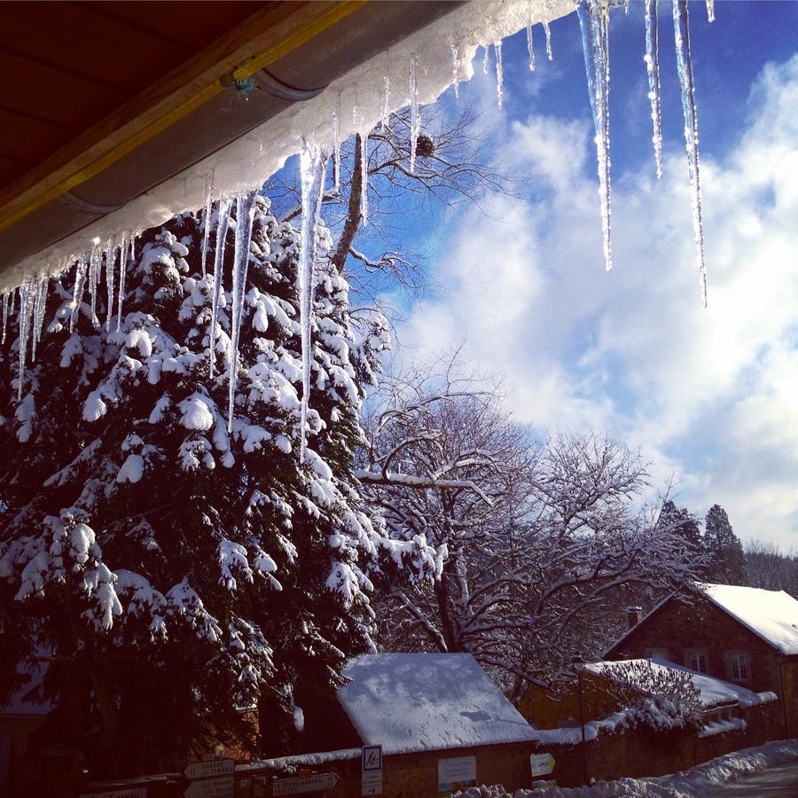 La Vieille Auberge Du Lac Saint-Agnan  Bagian luar foto